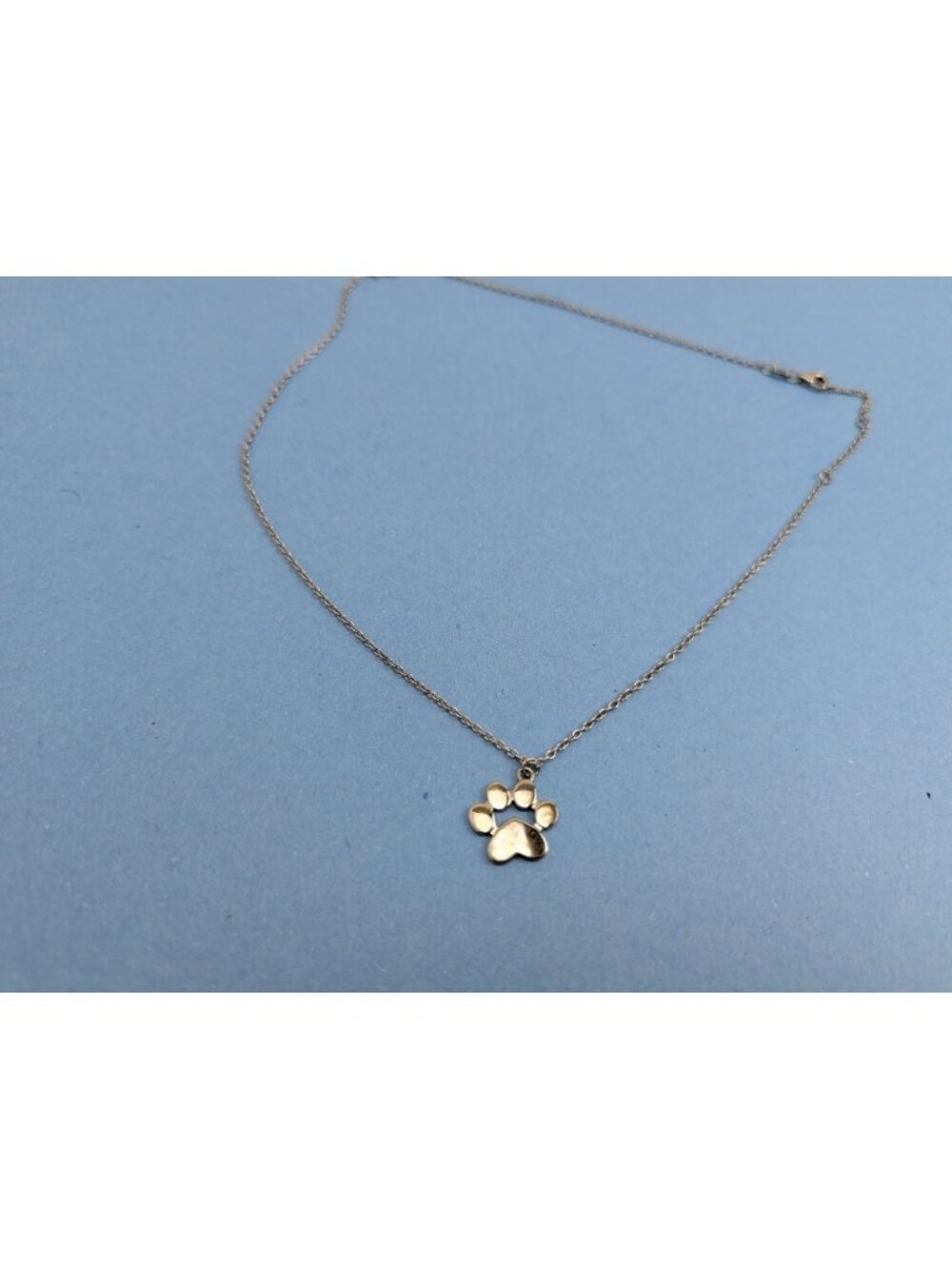 Sterling Silver 925 Pawprint Chain Necklace with Charm